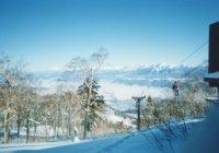 スキー（男子・女子）