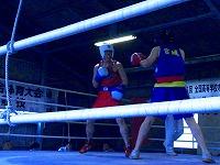 ボクシング（男子）