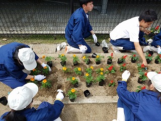 花壇植栽の様子
