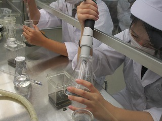 植物バイオテクノロジー無菌操作