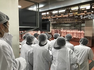 食肉市場見学